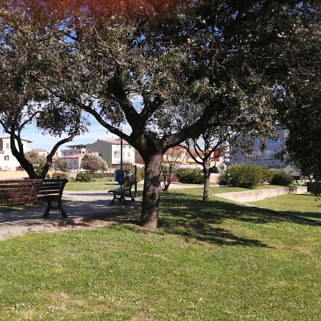 My Nest Apartment Arzachena Exterior photo